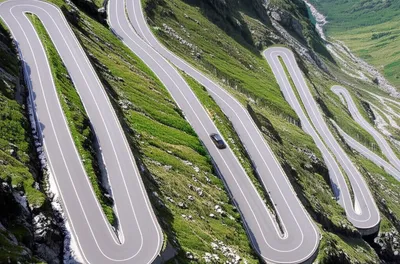 Illustration zig - Image 1