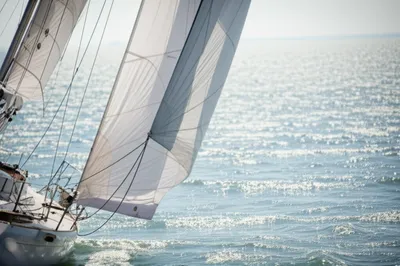 Illustration luff - Image 1