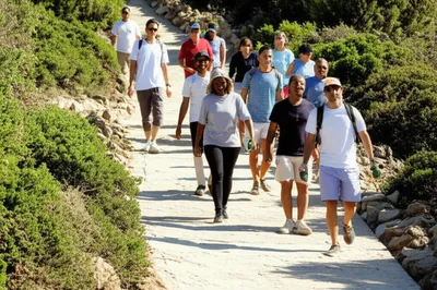 Illustration paved - Image 1