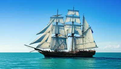 Illustration bark - Image 1