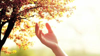 Illustration realising - Image 1