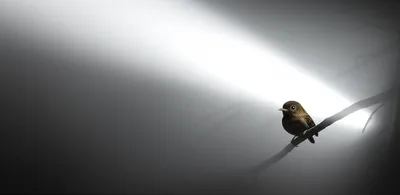 Illustration vigilance - Image 1