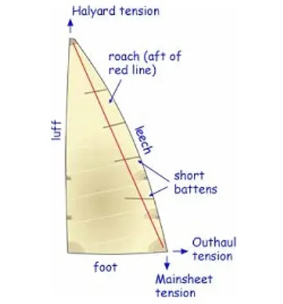 Illustration leech - Image 2