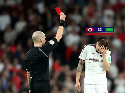 Illustration dung - Image 1