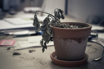 Illustration slump - Image 1