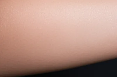 Illustration plaques - Image 1