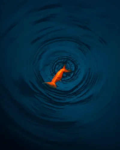 Illustration absorbed - Image 1