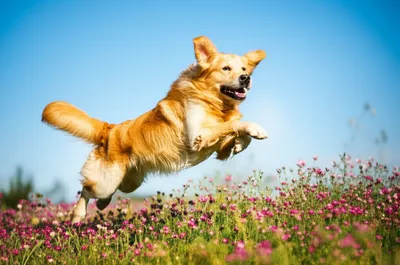 Illustration bounding - Image 1