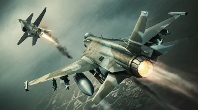 Illustration rhubarb - Image 1