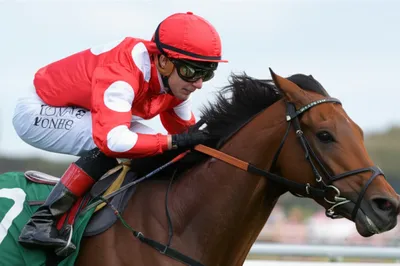 Illustration hoops - Image 1