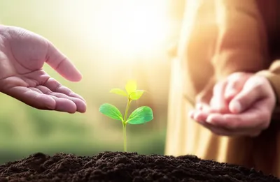 Illustration institutes - Image 1