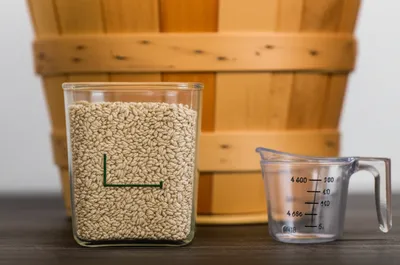 Illustration gallons - Image 1