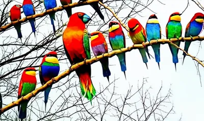 Illustration toots - Image 1