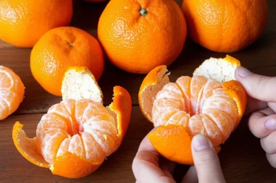 Illustration satsuma - Image 1