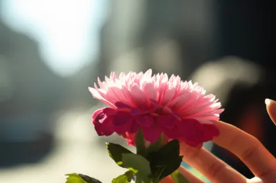 Illustration sensibility - Image 1