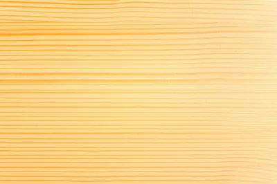 Illustration pine - Image 1