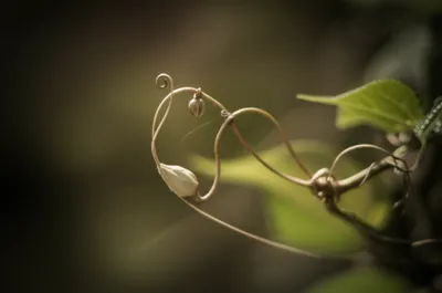 Illustration implies - Image 1