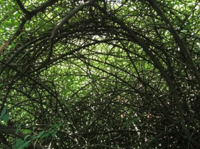 Illustration scrubs - Image 1