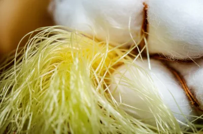 Illustration silk - Image 1