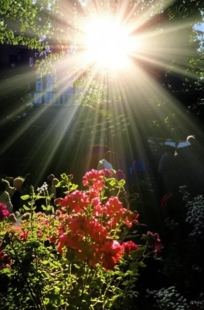 Illustration uv - Image 1