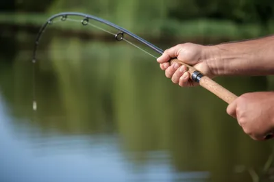 Illustration jerks - Image 1