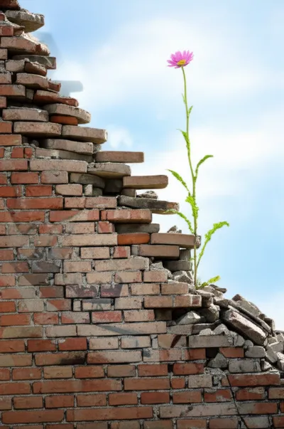 Illustration revolutions - Image 1