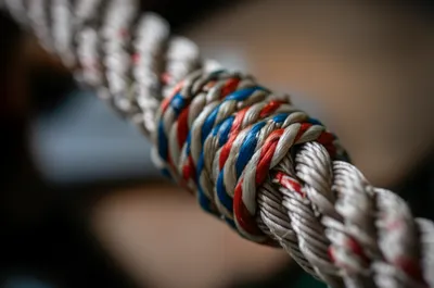 Illustration graft - Image 1