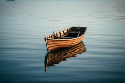 Illustration cock - Image 1