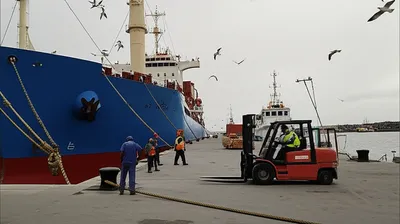 Illustration dockside