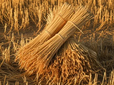 Illustration sheafed - Image 1