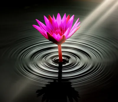 Illustration resurfaced