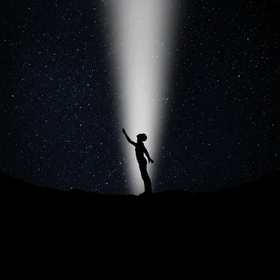 Illustration seeking - Image 1