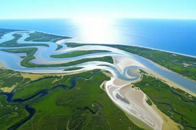 Illustration mouth - Image 1