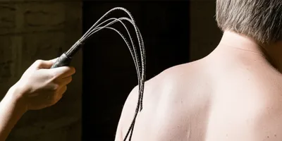 Illustration cats - Image 1