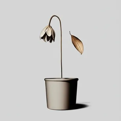 Illustration lacked - Image 1