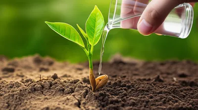 Illustration green - Image 1