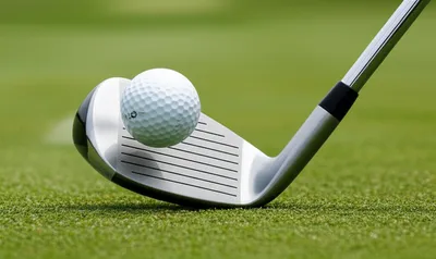 Illustration heeled - Image 1