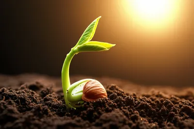 Illustration excite - Image 1