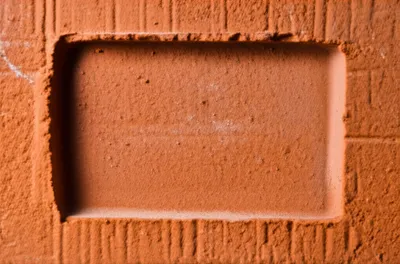 Illustration frog - Image 1