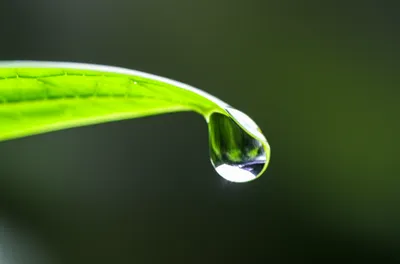 Illustration poignant