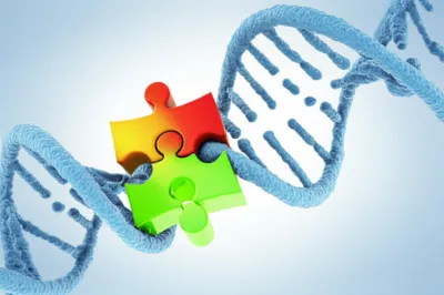 Illustration intercalated - Image 1