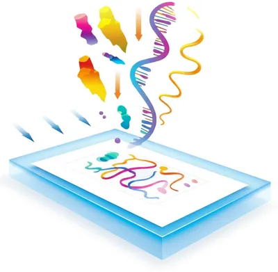 Illustration blots - Image 1