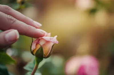 Illustration tips - Image 1