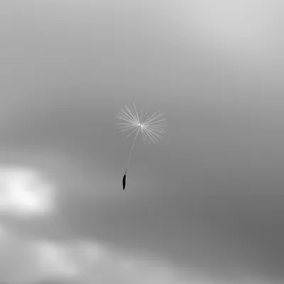 Illustration meaningless - Image 1