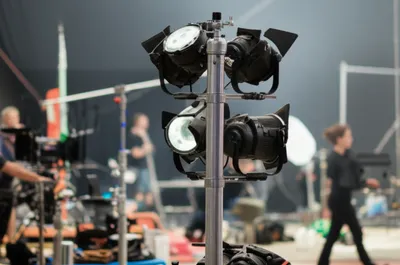 Illustration polecats - Image 1