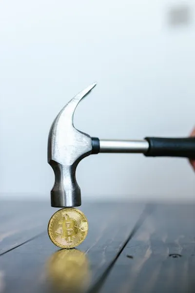 Illustration minting - Image 2