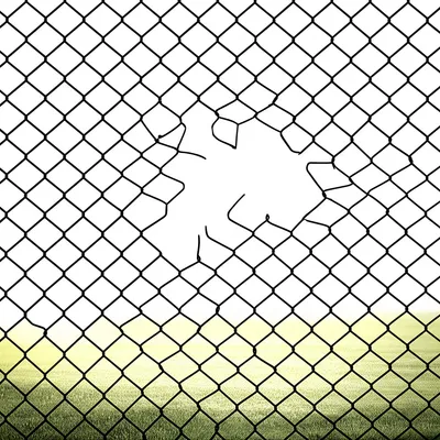 Illustration seceded - Image 1