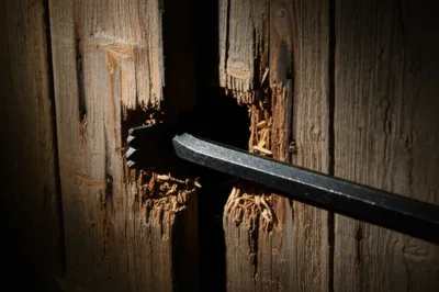 Illustration jemmy - Image 1