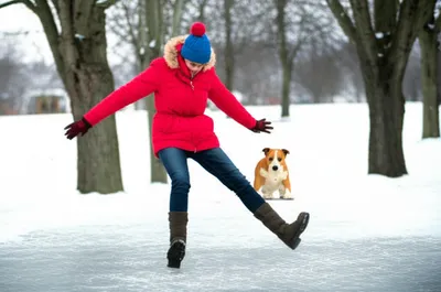 Illustration skite - Image 1