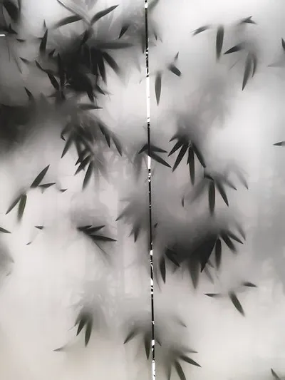 Illustration opaques - Image 2